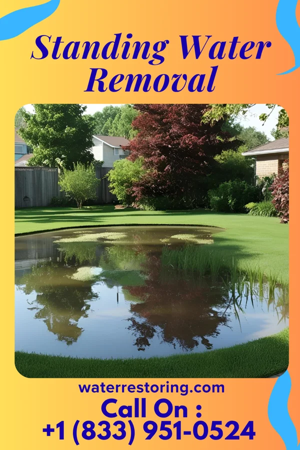 Standing Water Removal in Zion, OK